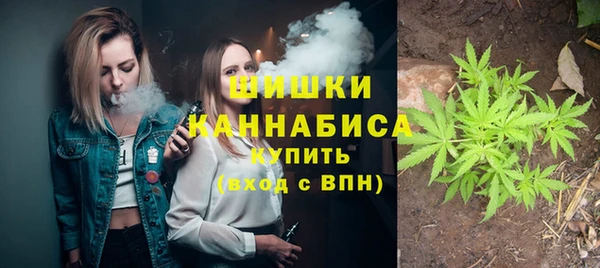 индика Бугульма